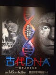 特別展「古代DNA－日本人のきた道」（国立科学博物館）に投稿された画像（2025/5/29）