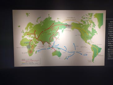 特別展「古代DNA－日本人のきた道」（国立科学博物館）に投稿された画像（2025/5/29）