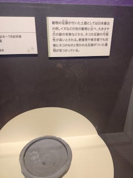 特別展「古代DNA－日本人のきた道」（国立科学博物館）に投稿された画像（2025/5/29）