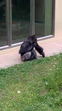 名古屋市東山動植物園に投稿された画像（2025/5/29）