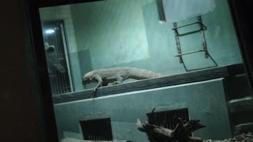 名古屋市東山動植物園に投稿された画像（2025/5/29）