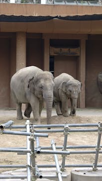 名古屋市東山動植物園に投稿された画像（2025/5/29）