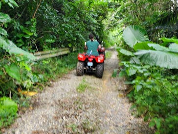 カヤックサービスfree suits（フリースーツ）石垣に投稿された画像（2025/5/29）