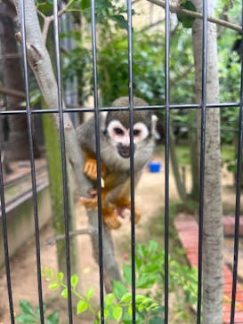 淡路ファームパーク イングランドの丘に投稿された画像（2025/5/29）