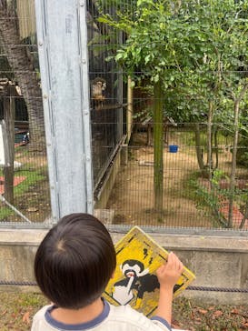 淡路ファームパーク イングランドの丘に投稿された画像（2025/5/29）