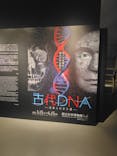 特別展「古代DNA－日本人のきた道」（国立科学博物館）に投稿された画像（2025/5/29）