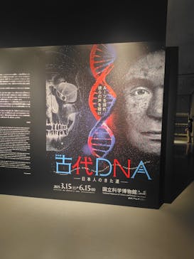 特別展「古代DNA－日本人のきた道」（国立科学博物館）に投稿された画像（2025/5/29）