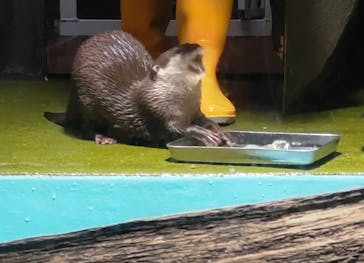竹島水族館に投稿された画像（2025/5/29）