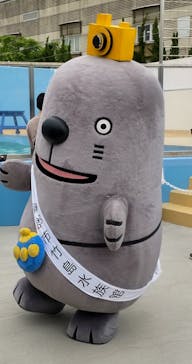 竹島水族館に投稿された画像（2025/5/29）