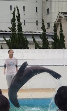 竹島水族館に投稿された画像（2025/5/29）