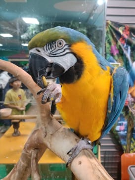 いきもの探検隊上尾に投稿された画像（2025/5/29）