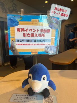 しながわ水族館に投稿された画像（2025/5/29）