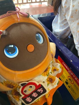 ひらかたパークに投稿された画像（2025/5/29）