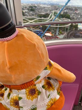 ひらかたパークに投稿された画像（2025/5/29）