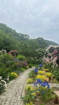 ACAO FORESTに投稿された画像（2025/5/29）