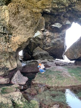 okinawa.nature.ashibi堂（オキナワネイチャーアシビドウ）に投稿された画像（2025/5/29）