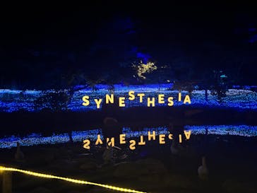 KYOTO ILLUMINATION SYNESTHESIA HILLS るり渓温泉に投稿された画像（2025/5/29）
