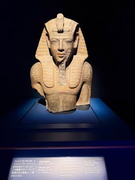 ACN ラムセス大王展 ファラオたちの黄金に投稿された画像（2025/5/29）