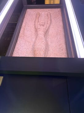 ACN ラムセス大王展 ファラオたちの黄金に投稿された画像（2025/5/29）