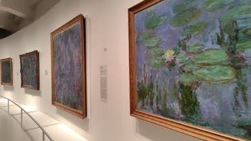 モネ　睡蓮のときに投稿された画像（2025/5/29）