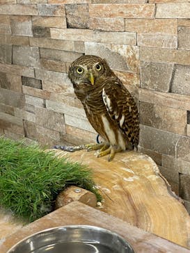 アニタッチ MARK IS 静岡に投稿された画像（2025/5/29）