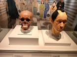 特別展「古代DNA－日本人のきた道」（国立科学博物館）に投稿された画像（2025/5/30）