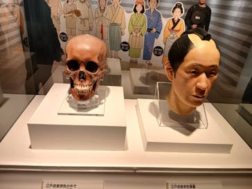 特別展「古代DNA－日本人のきた道」（国立科学博物館）に投稿された画像（2025/5/29）