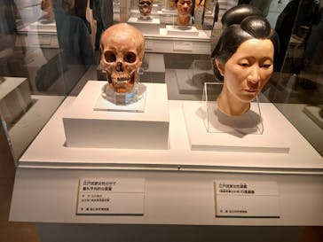特別展「古代DNA－日本人のきた道」（国立科学博物館）に投稿された画像（2025/5/29）