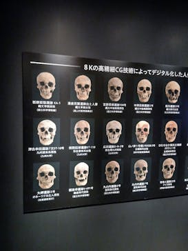 特別展「古代DNA－日本人のきた道」（国立科学博物館）に投稿された画像（2025/5/29）