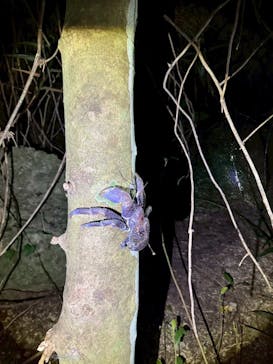 SUNSHINE MARIN 宮古島に投稿された画像（2025/5/29）