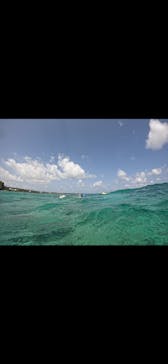 武藤潜水に投稿された画像（2025/5/30）