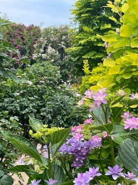 横浜イングリッシュガーデンに投稿された画像（2025/5/30）