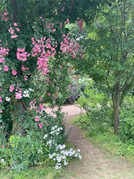 横浜イングリッシュガーデンに投稿された画像（2025/5/30）