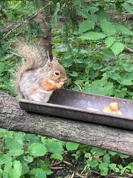 那須どうぶつ王国に投稿された画像（2025/5/30）