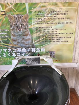 那須どうぶつ王国に投稿された画像（2025/5/30）