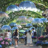 横浜イングリッシュガーデンに投稿された画像（2025/5/30）