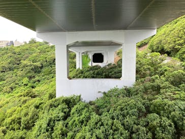 徳島県立 渦の道に投稿された画像（2025/5/30）