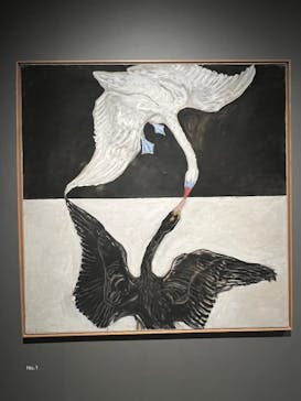 ヒルマ・アフ・クリント展（東京国立近代美術館）に投稿された画像（2025/5/30）