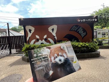 天王寺動物園に投稿された画像（2025/5/30）