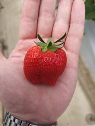 ＠FARMに投稿された画像（2025/5/30）