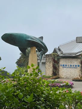 沖縄美ら海水族館に投稿された画像（2025/5/30）