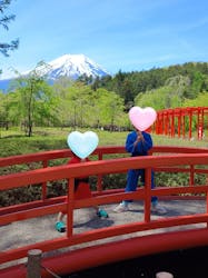 忍野 しのびの里に投稿された画像（2025/5/30）