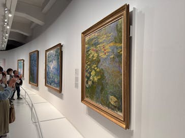 モネ　睡蓮のときに投稿された画像（2025/5/30）