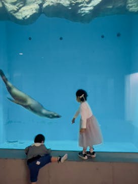 城崎マリンワールドに投稿された画像（2025/5/30）