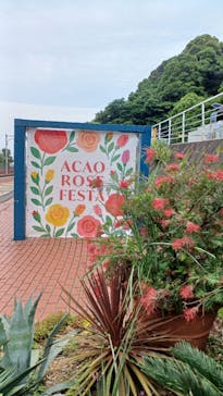 ACAO FORESTに投稿された画像（2025/5/30）