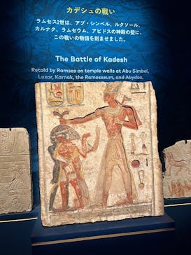 ACN ラムセス大王展 ファラオたちの黄金に投稿された画像（2025/5/30）