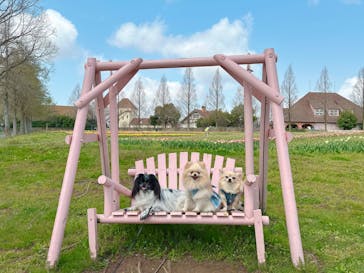 滋賀農業公園ブルーメの丘に投稿された画像（2025/5/30）