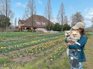 滋賀農業公園ブルーメの丘に投稿された画像（2025/5/30）