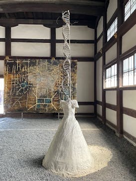 元離宮二条城に投稿された画像（2025/5/30）