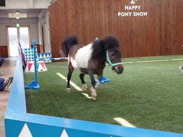 ノーザンホースパークに投稿された画像（2025/5/30）